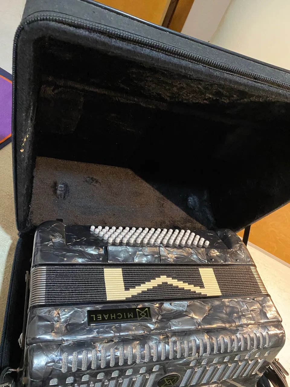 Acordeon- sanfona - Foto 3