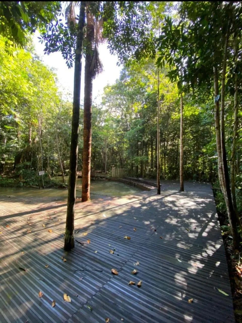Terreno 20x60 Comunidade São Pedro - Foto 4