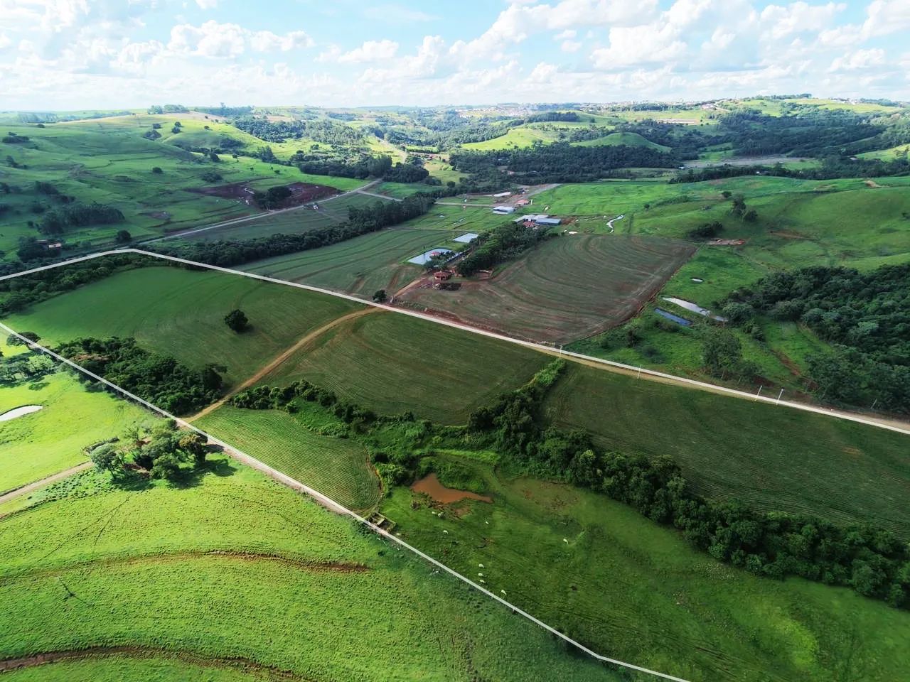 Sítio de 7 Alqueires em Jandaia do Sul  - Foto 2