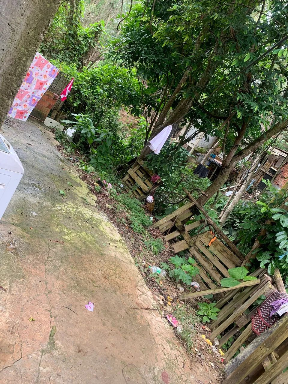 Foto - São Bernardo do Campo - Alvarenga