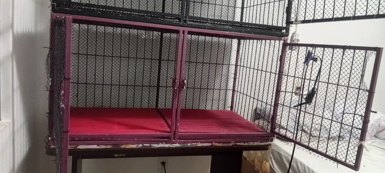 Gaiola pet shop - Foto 3