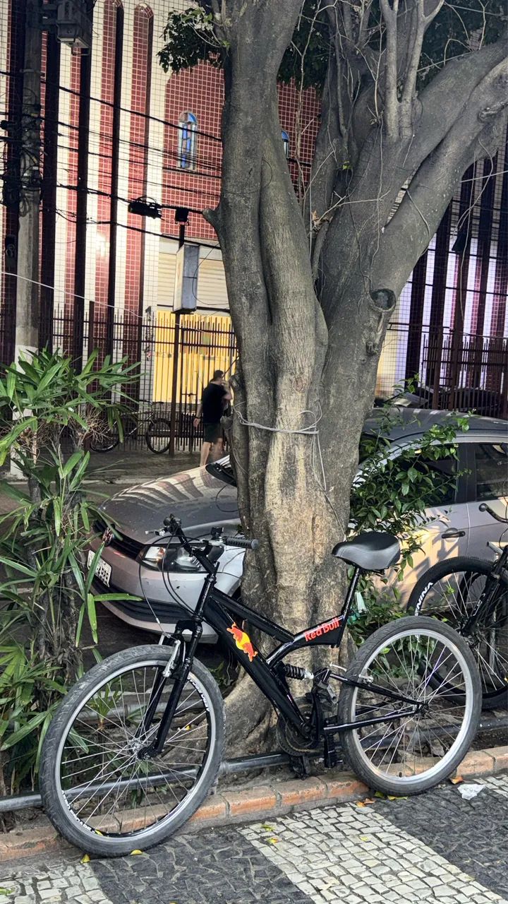 bicicleta aro 26