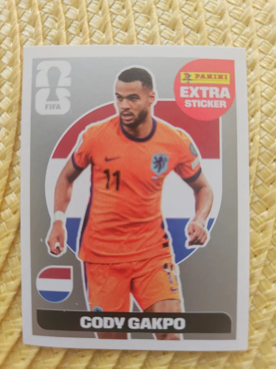 Figurinhas da copa, prata, CODY GAKPO