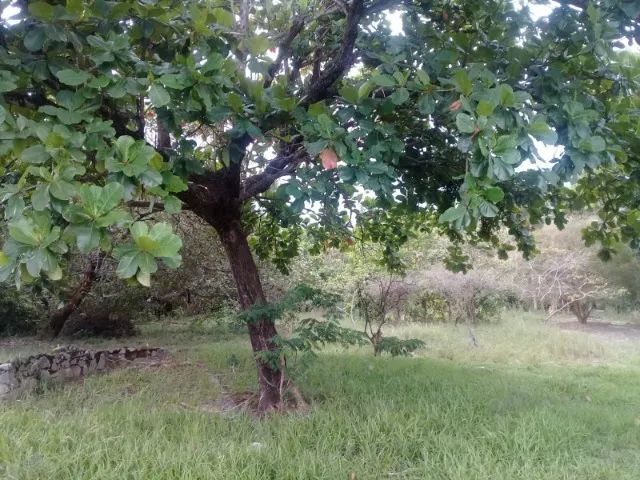 Terreno 7.000m2 em Itaboraí - Foto 2