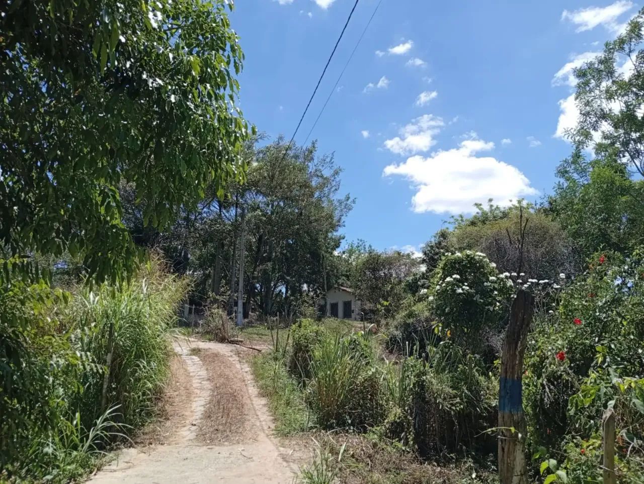 Granja em Bananeiras - Foto 5