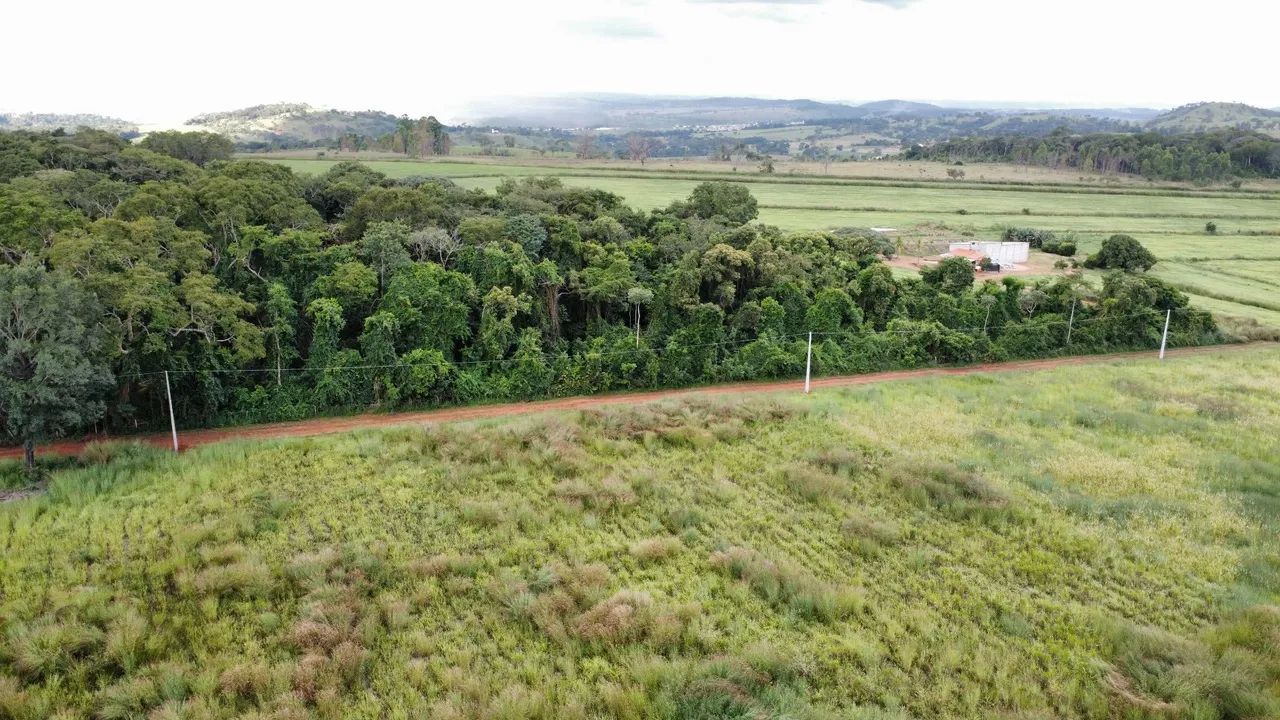 Chácara 22.000 M2 em Nerópolis  - Foto 5