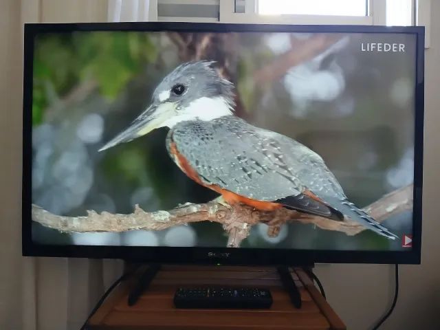TV SONY 32 POLEGADAS TELA DE LED HD - Foto 3