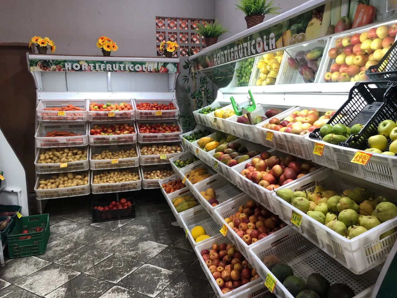 Frutaria - Foto 5