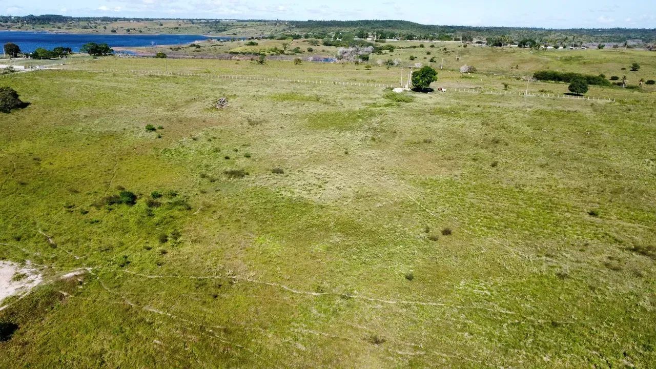 Fazenda com 150 hectares em Macaiba - Foto 5