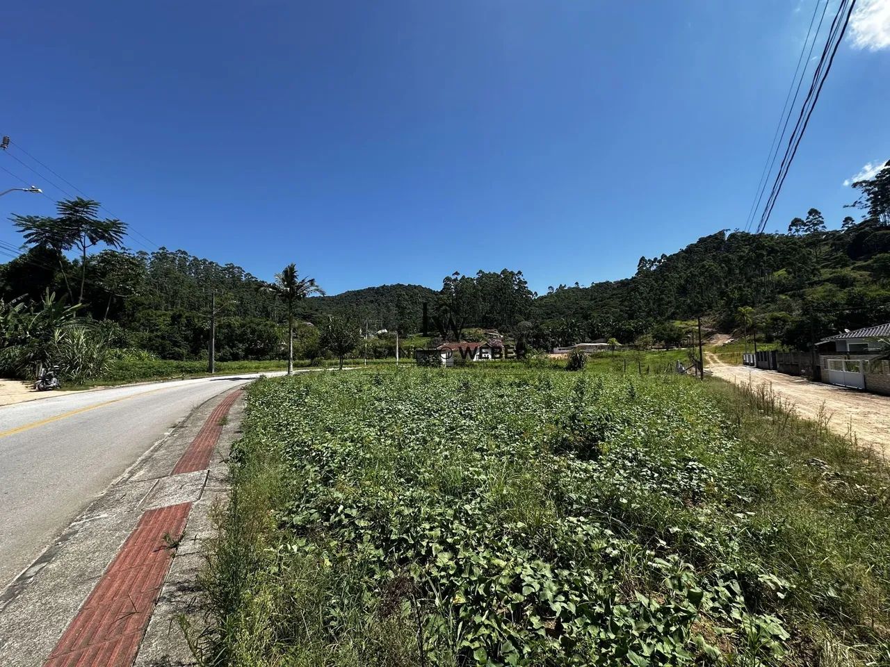 Terreno com 1.303,76m² - Com Escritura - Antônio Carlos - SC - Foto 3
