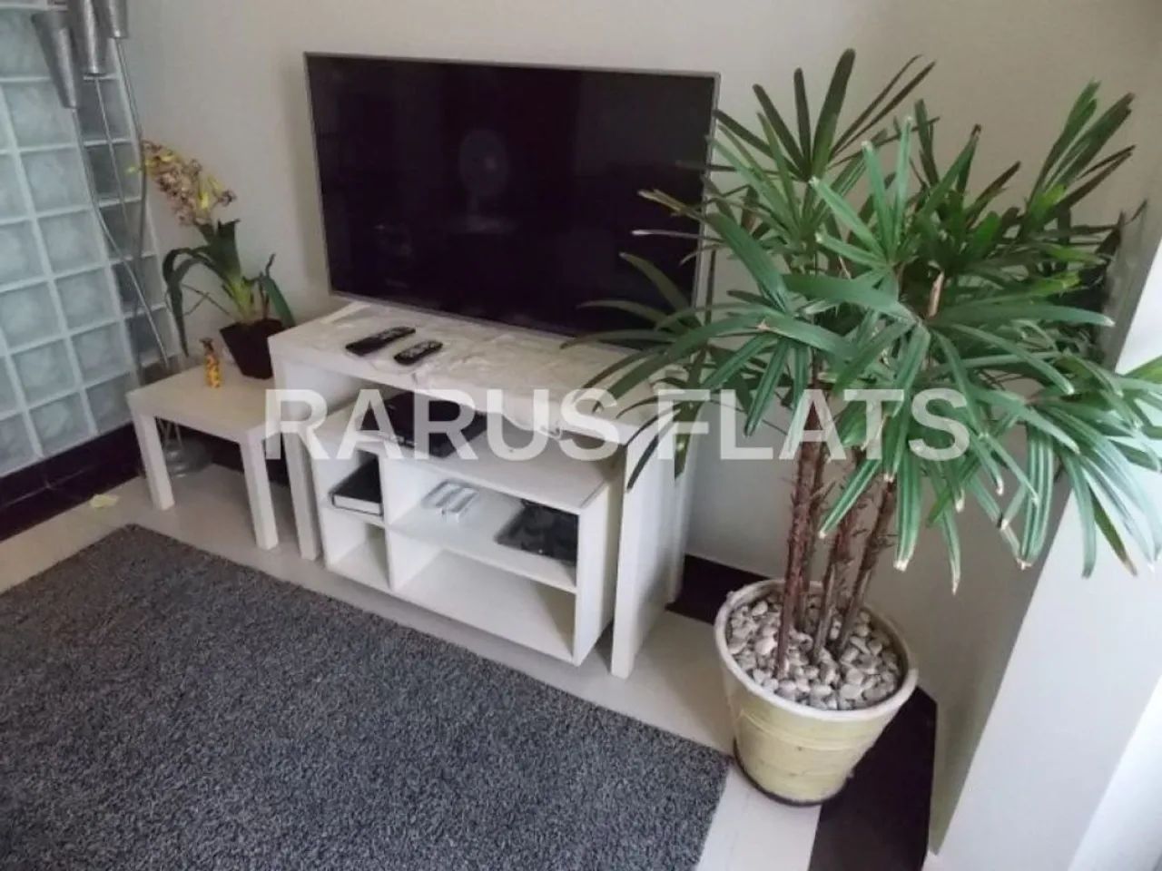 Rarus Flats - Flat para locação - Edifício Royal Ibirapuera - Foto 3