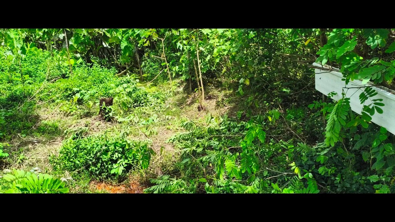 Excelente terreno!!!! - Foto 5
