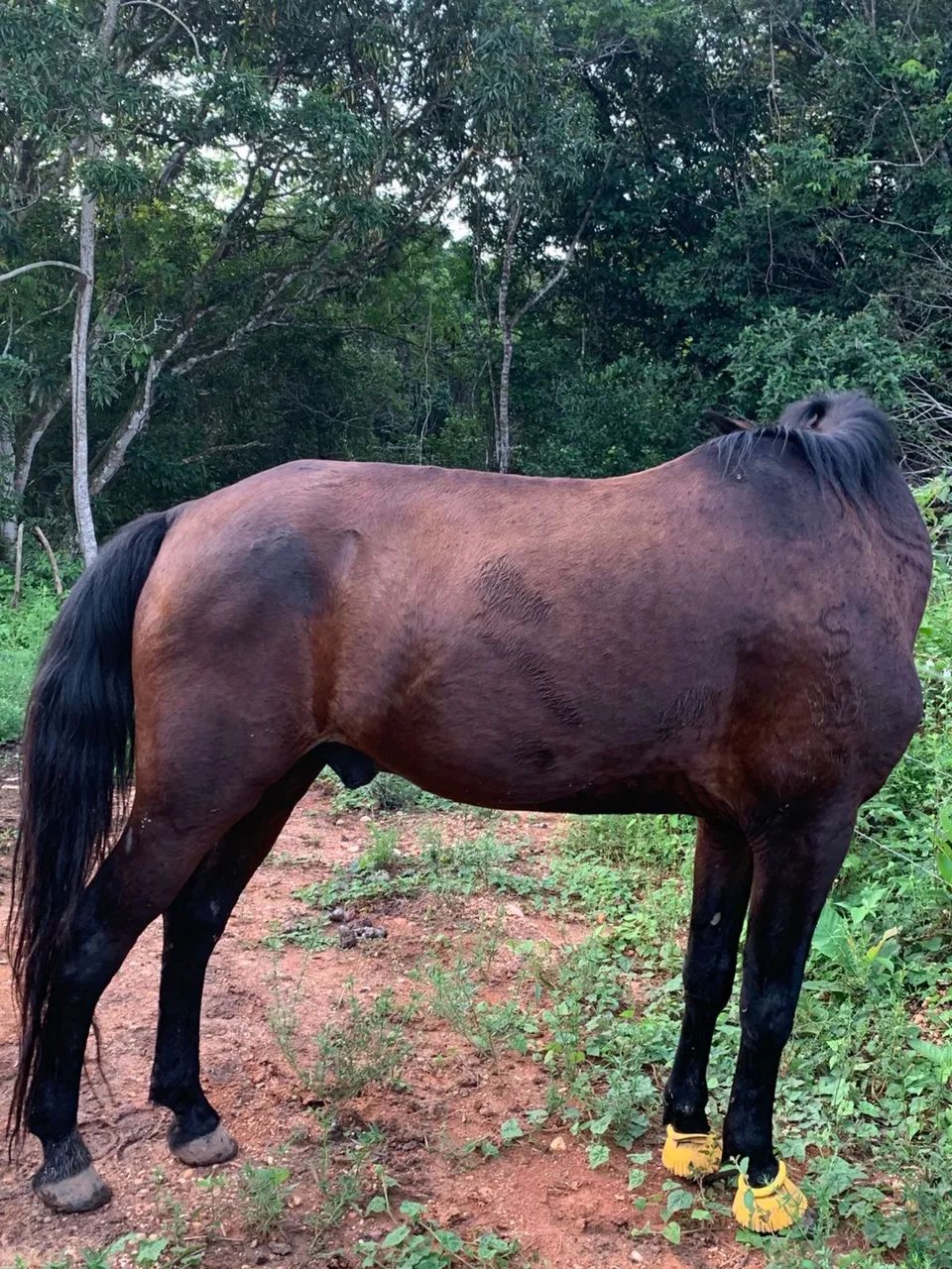 Vende-se ou troca  - Foto 2