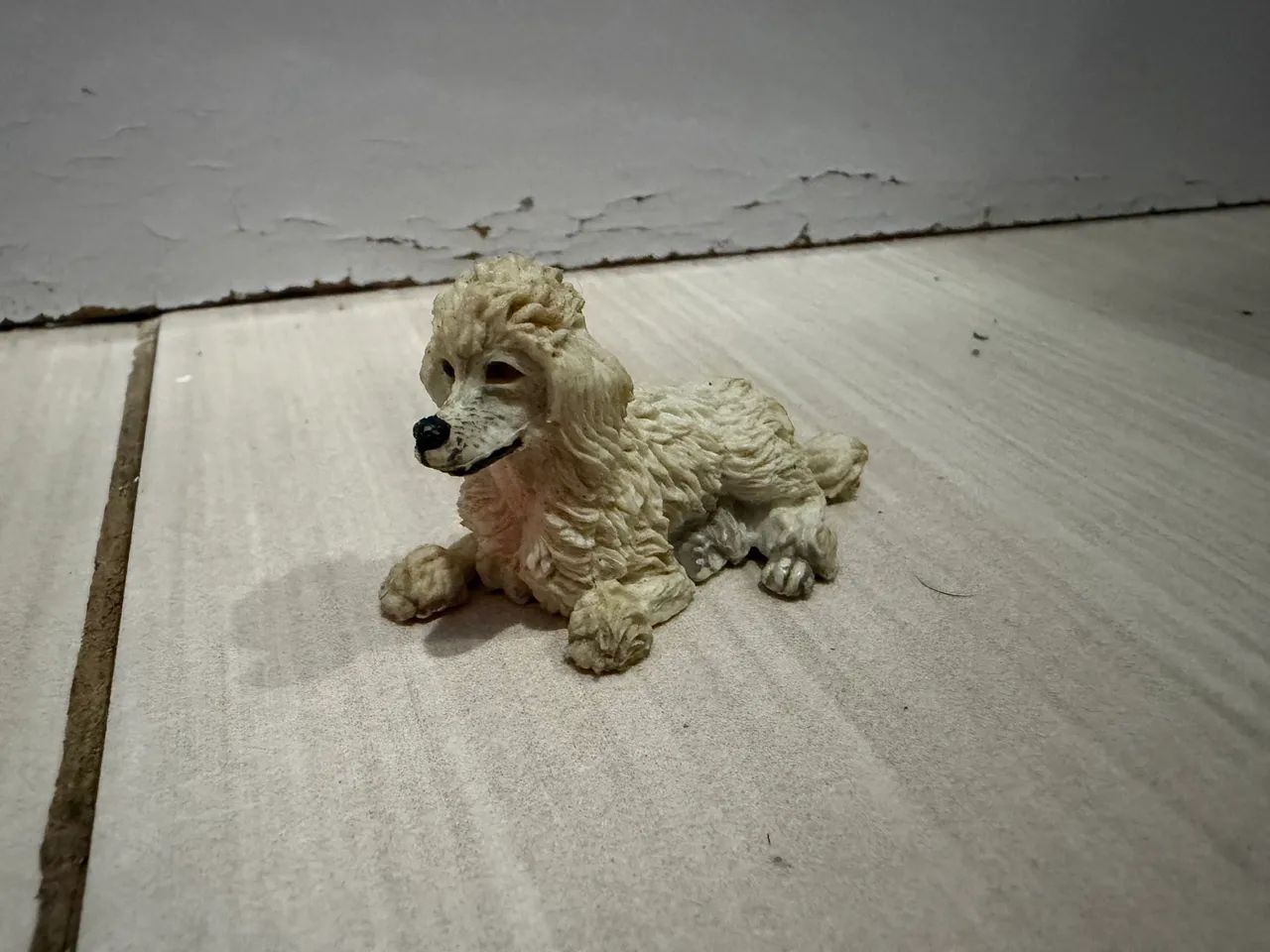 Miniatura cachorro poodle 
