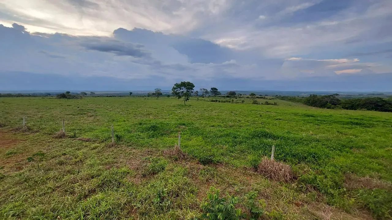 Terreno Rural Área rural à venda - 365 hectares - Terrenos, sítios e fazendas ...