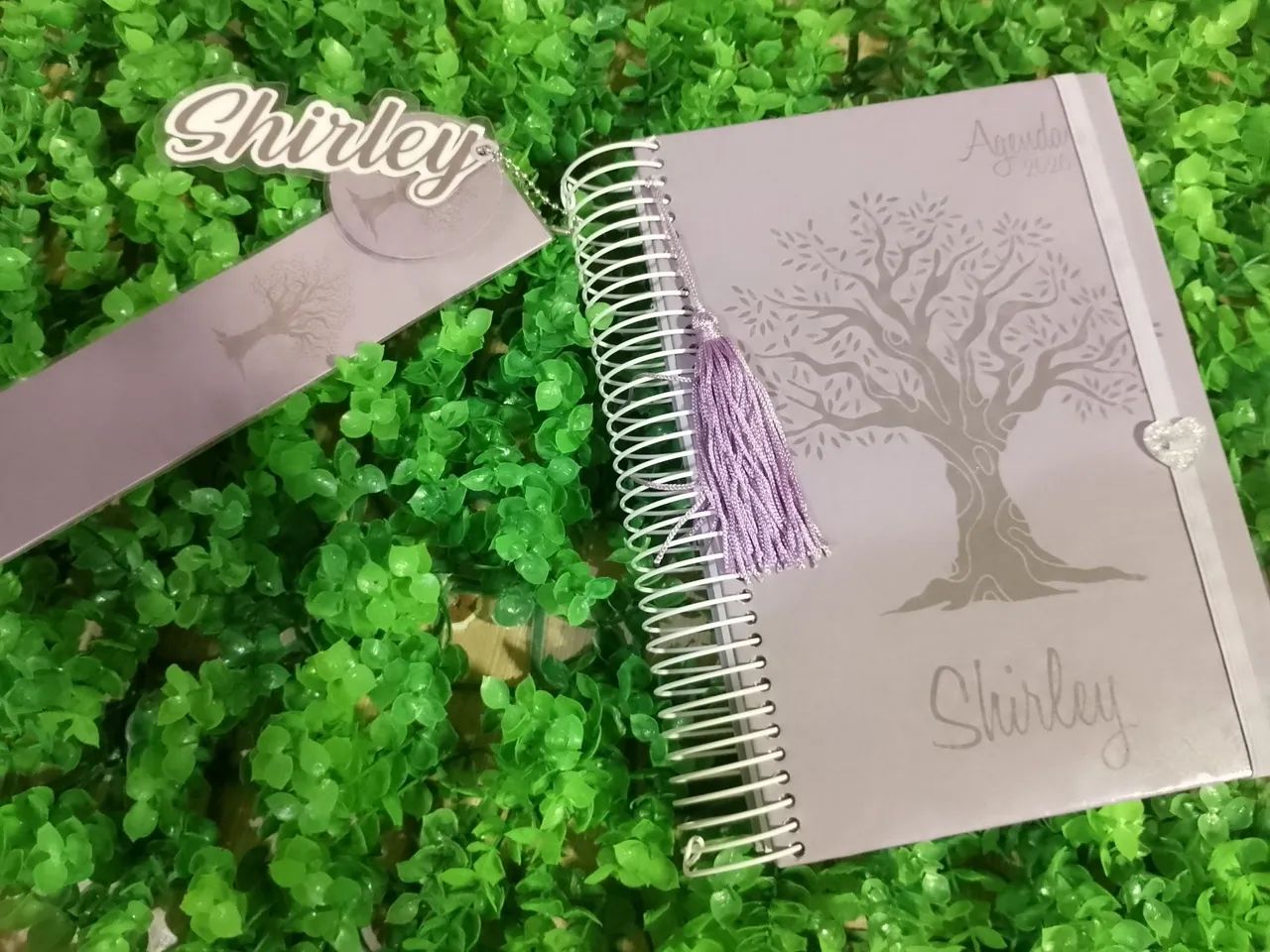 Agendas Personalizadas 2027 - Foto 4