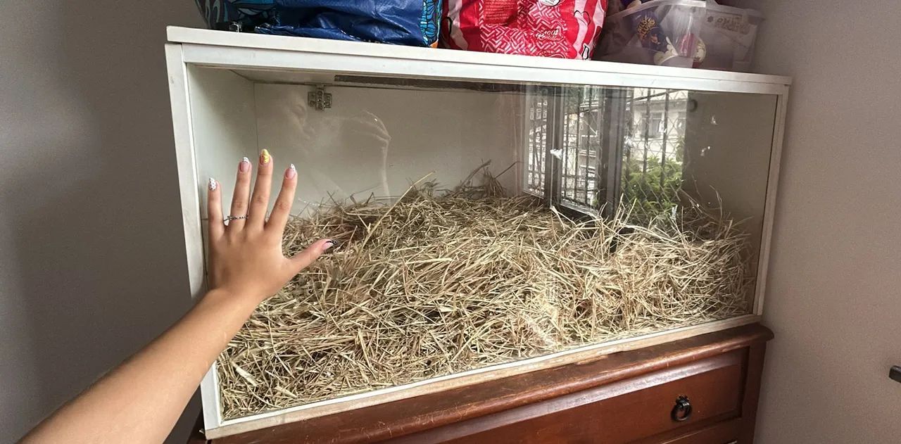 Terrário 100x50x50 - Foto 2