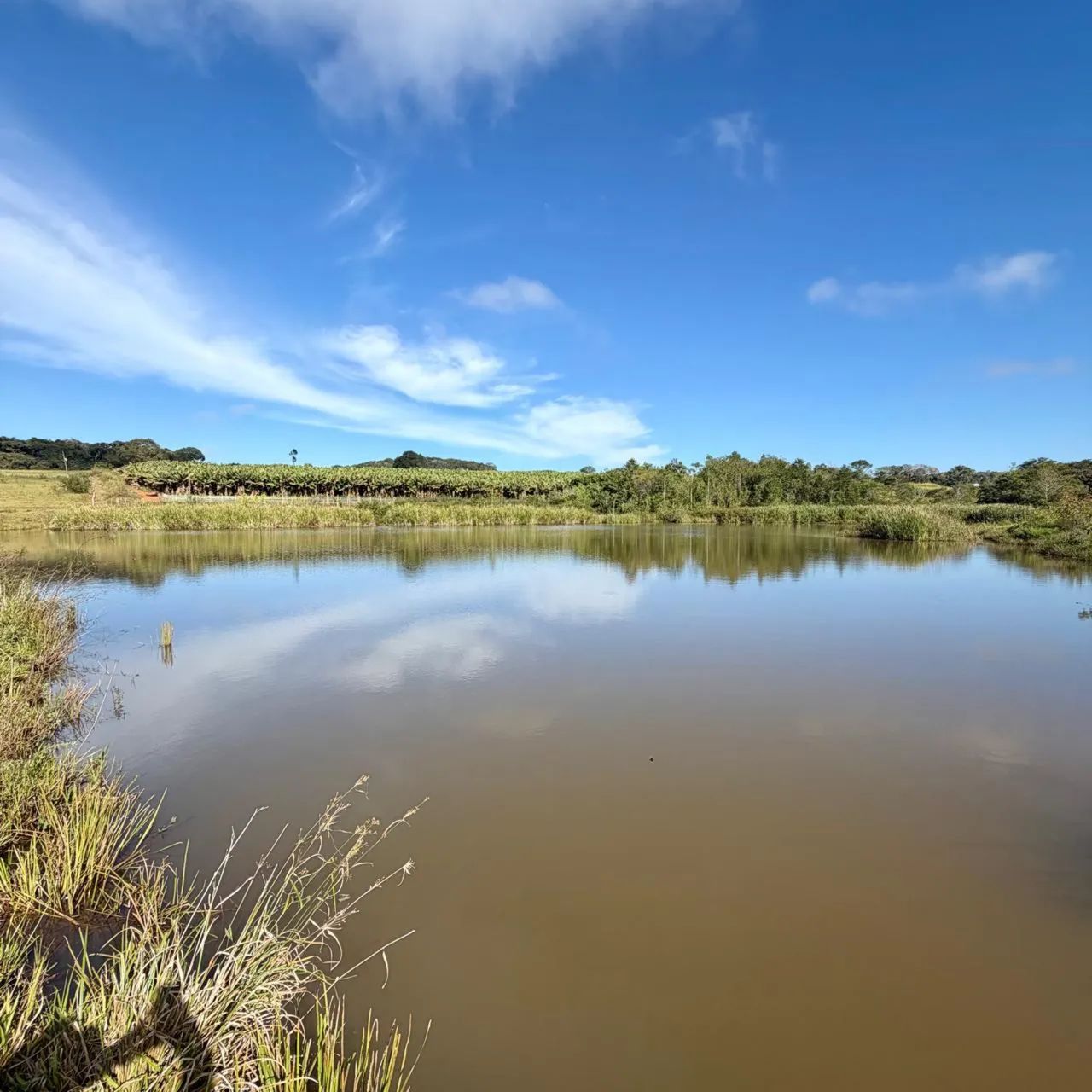 Terreno 12.000m2 em Anápolis GO - Foto 3