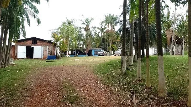 Área Rural 1.5 alqueires - Mandaguari - PR - Foto 5