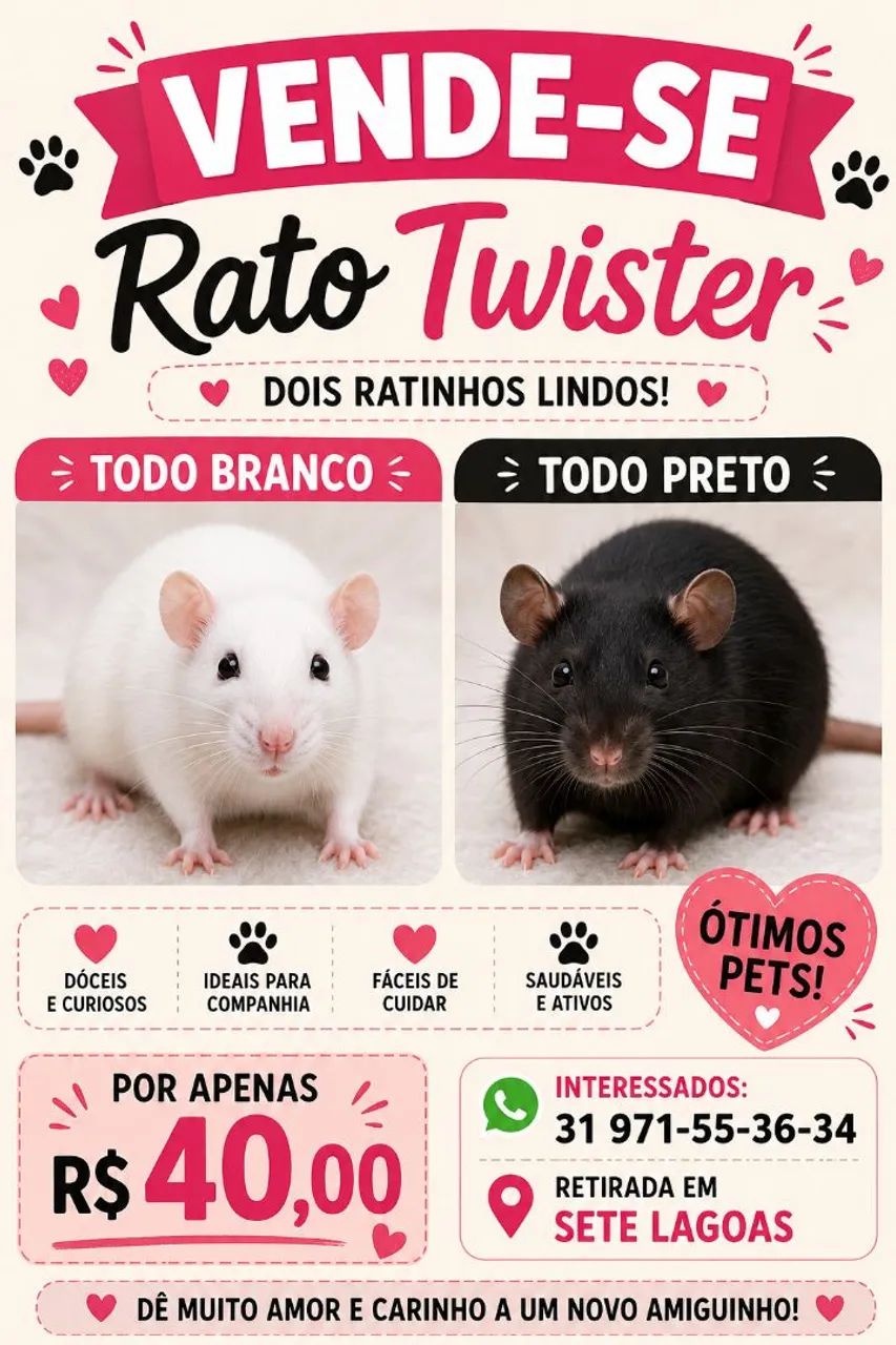 rato Twister branco e pretas por r$ 40