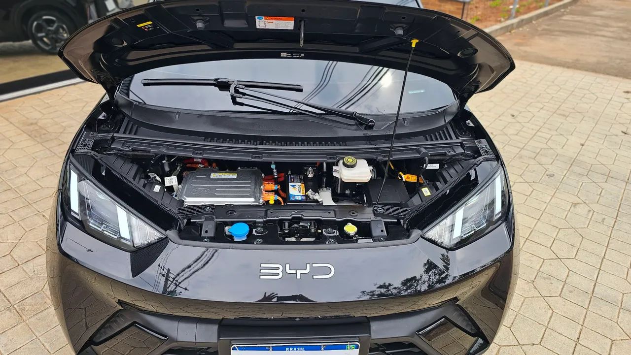BYD Dolphin Mini (Elétrico) 2025 - Foto 4
