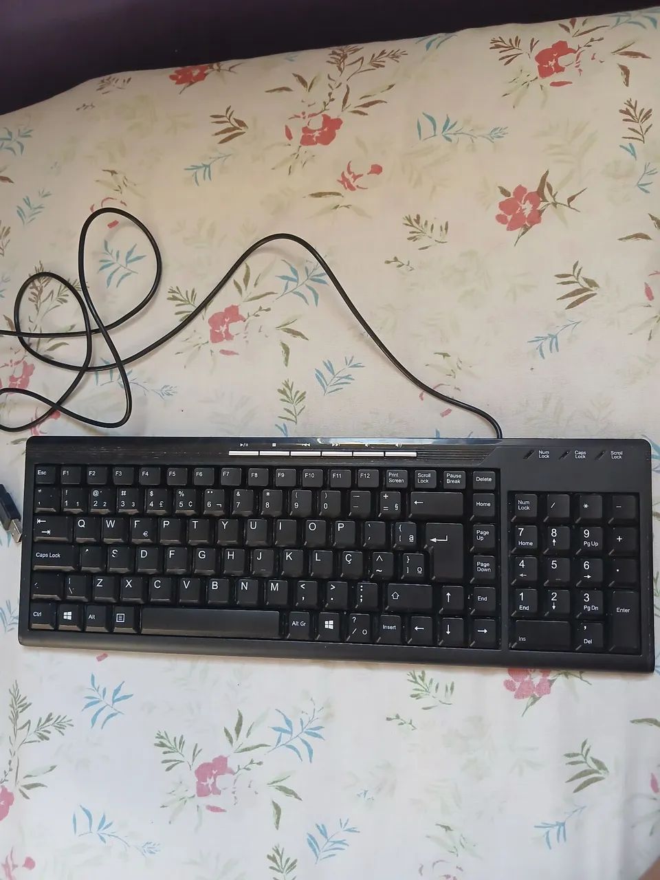 2 teclados 
