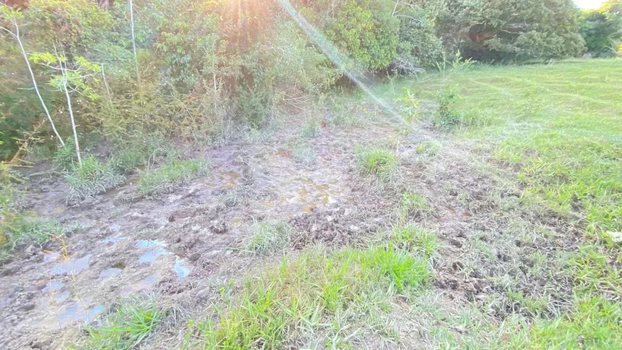 Fazenda em Aragoiânia, 15,8 hectares, 1km do asfalto, 10 km do centro de Aragoiânia, excel - Foto 6