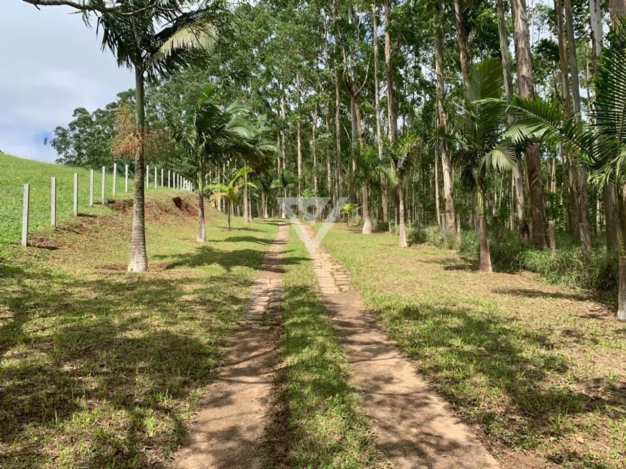 Sítio à venda em Igaratá! - Foto 3