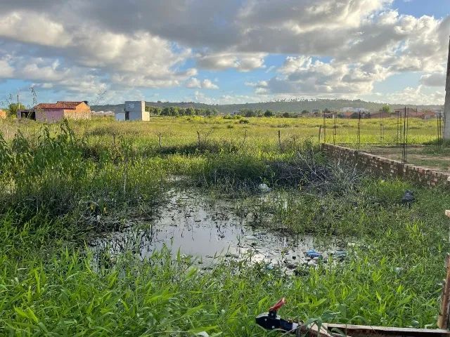 TERRENO PRA VENDER EM MARECHAL  - Foto 3