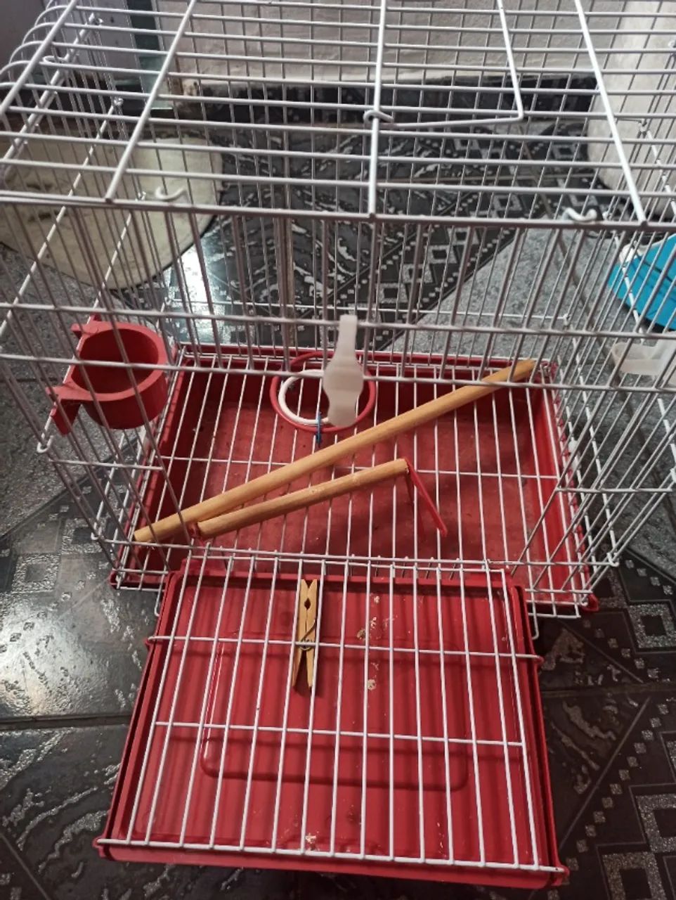 gaiola para calopsita