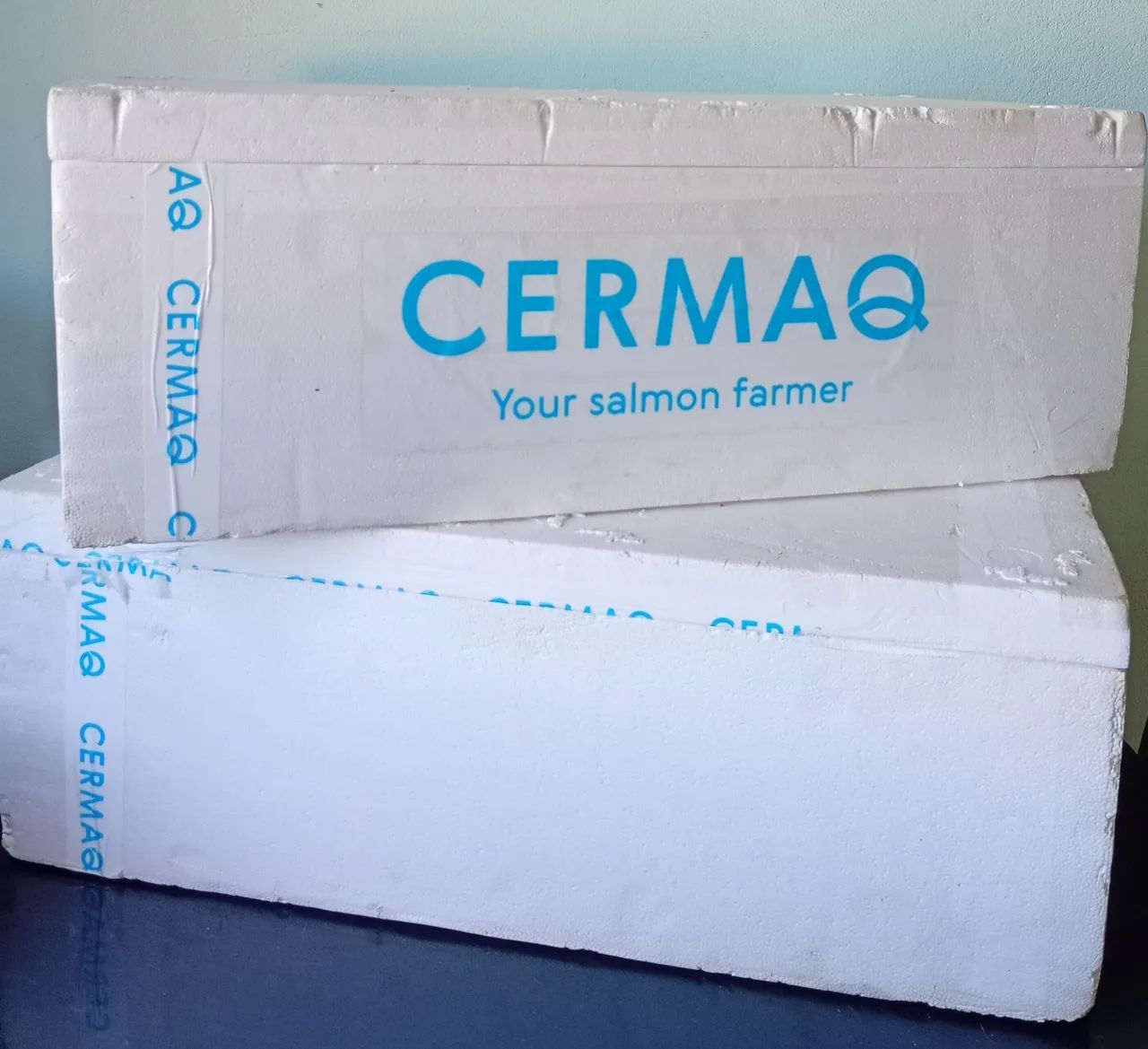 4 Caixas Grande 50l 100$