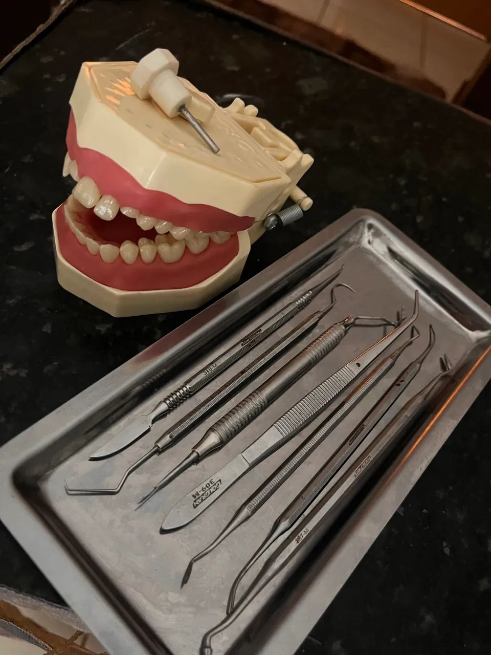 Manequim pro new e materiais odonto