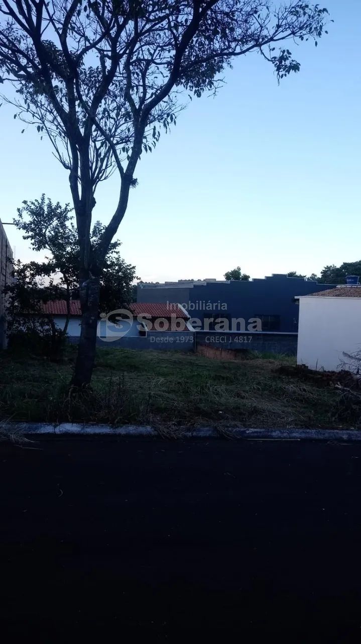 terreno - Centro - Holambra - Foto 2