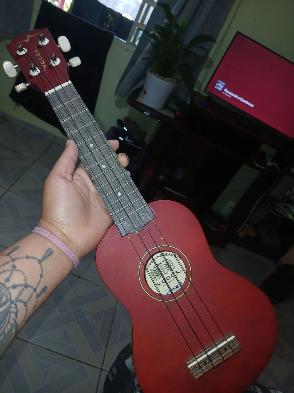 Ukulele Vogga - Foto 2