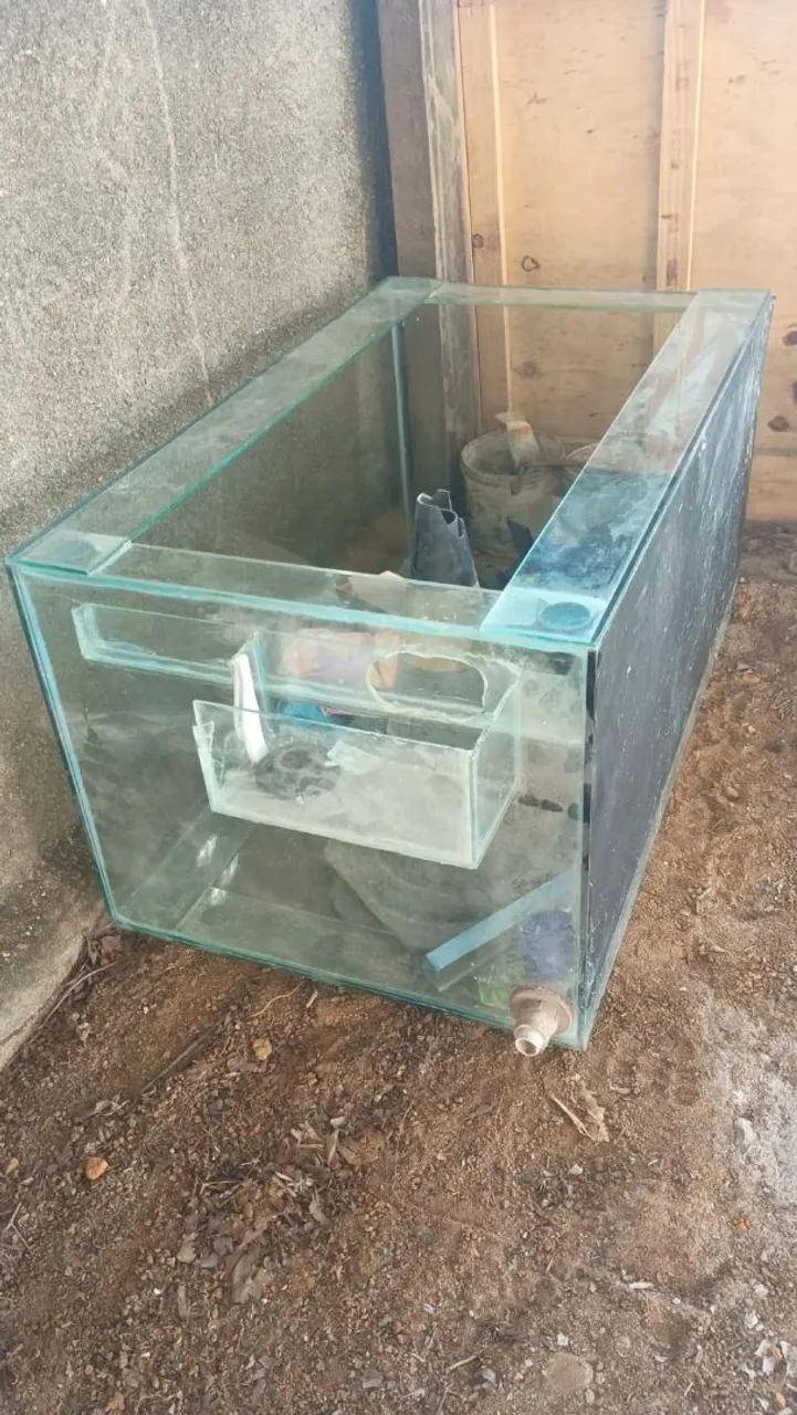 Aquario  - Foto 4
