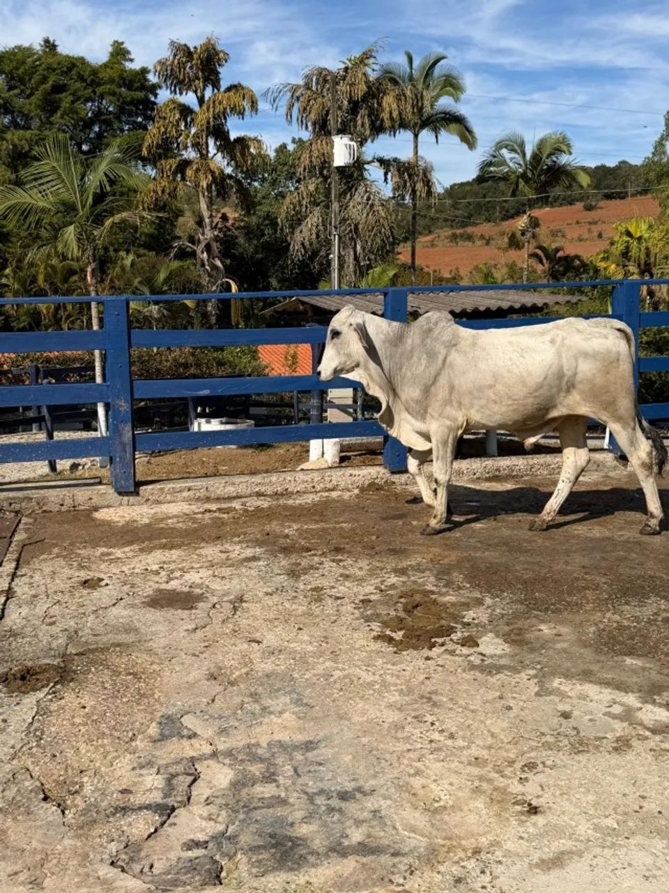 Tourinho Tabapuã - Foto 2
