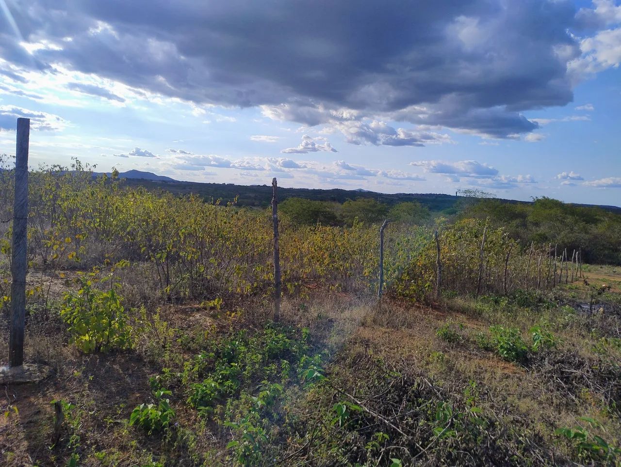 Venda  - Foto 4