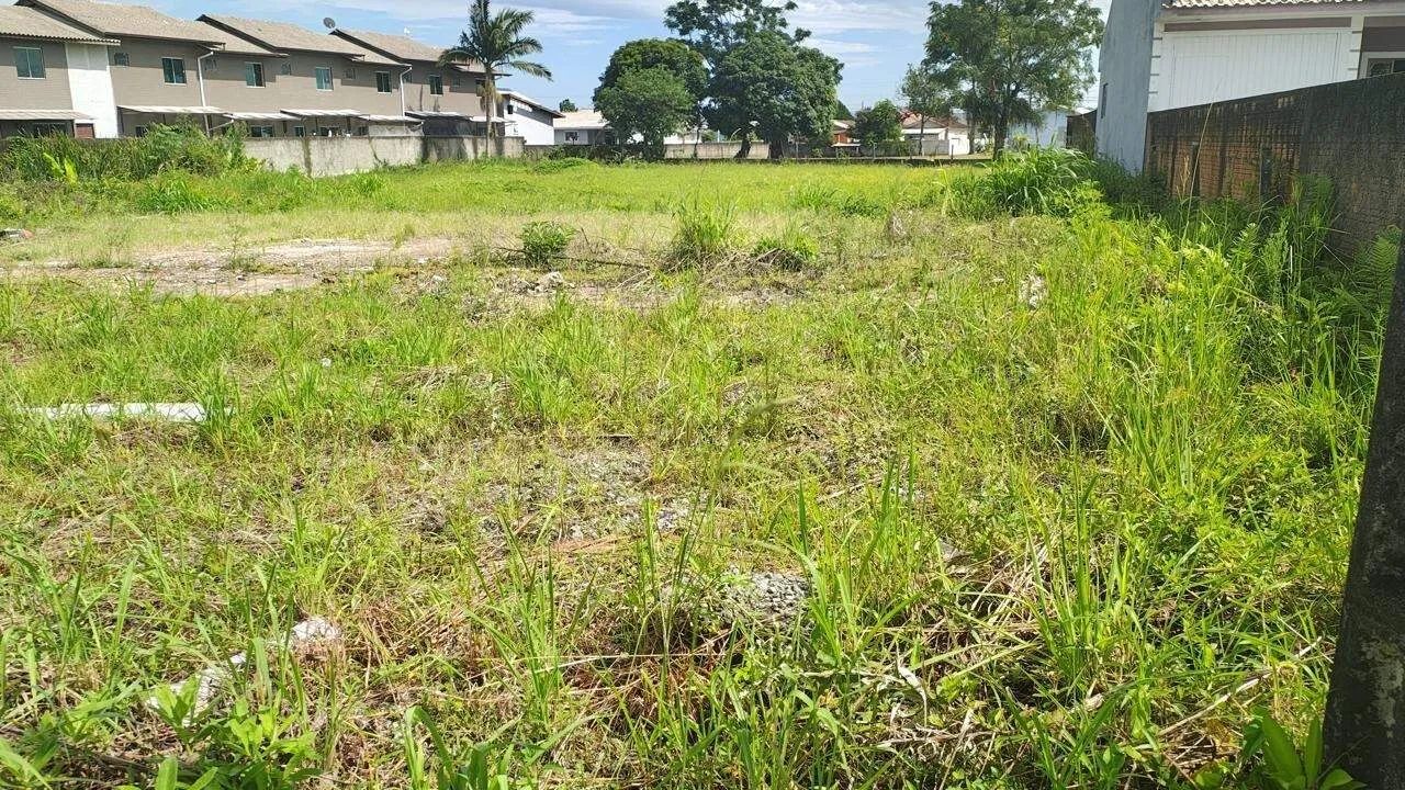 Terreno à Venda no Aririú da Formiga - Palhoça - 3.112,58 m² - Foto 4