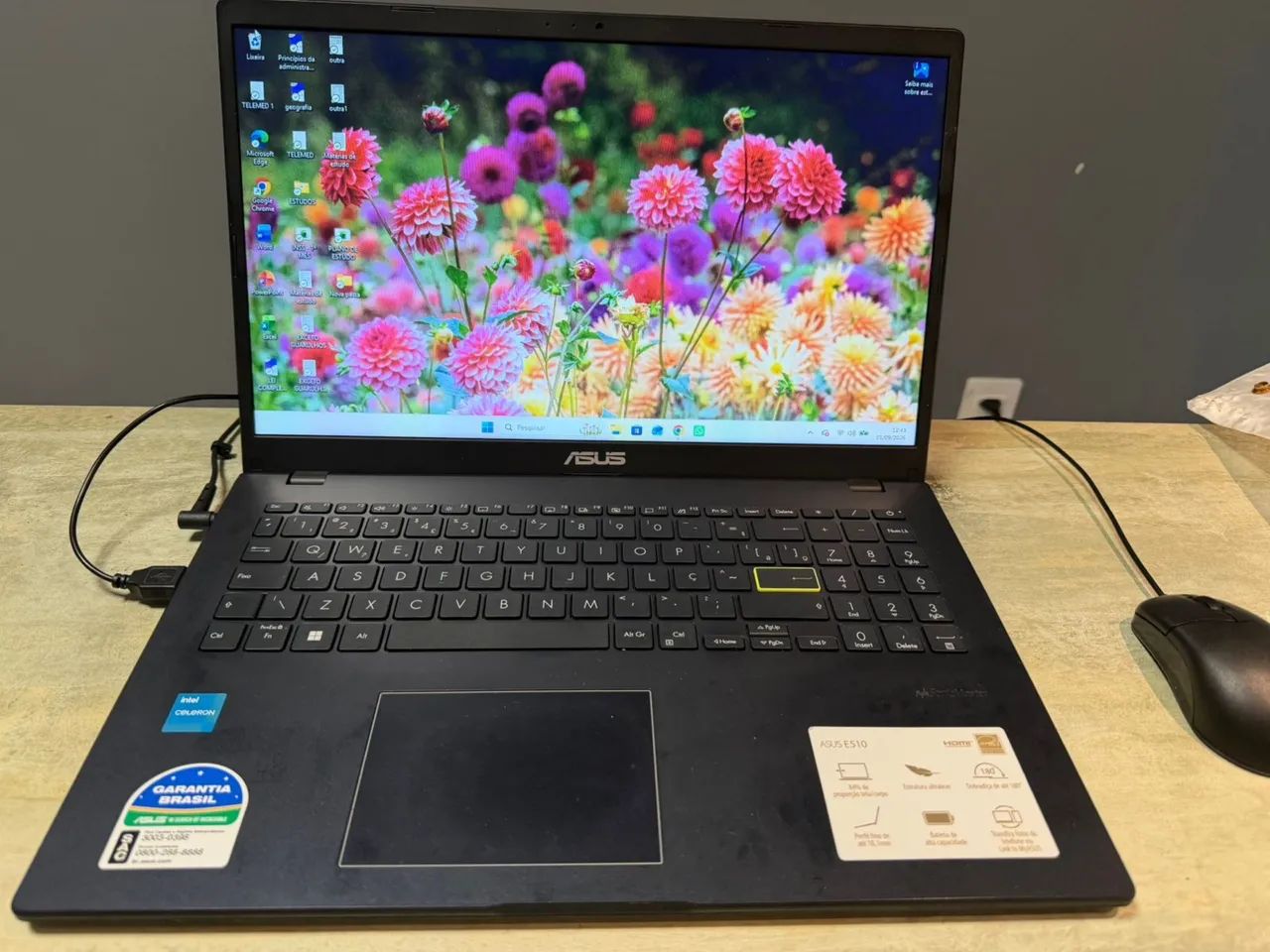 Notebook ASUS VIVOBOOK GO 15, INTEL CELERON, 4 GB, 128 GB SSD W11 - Foto 3