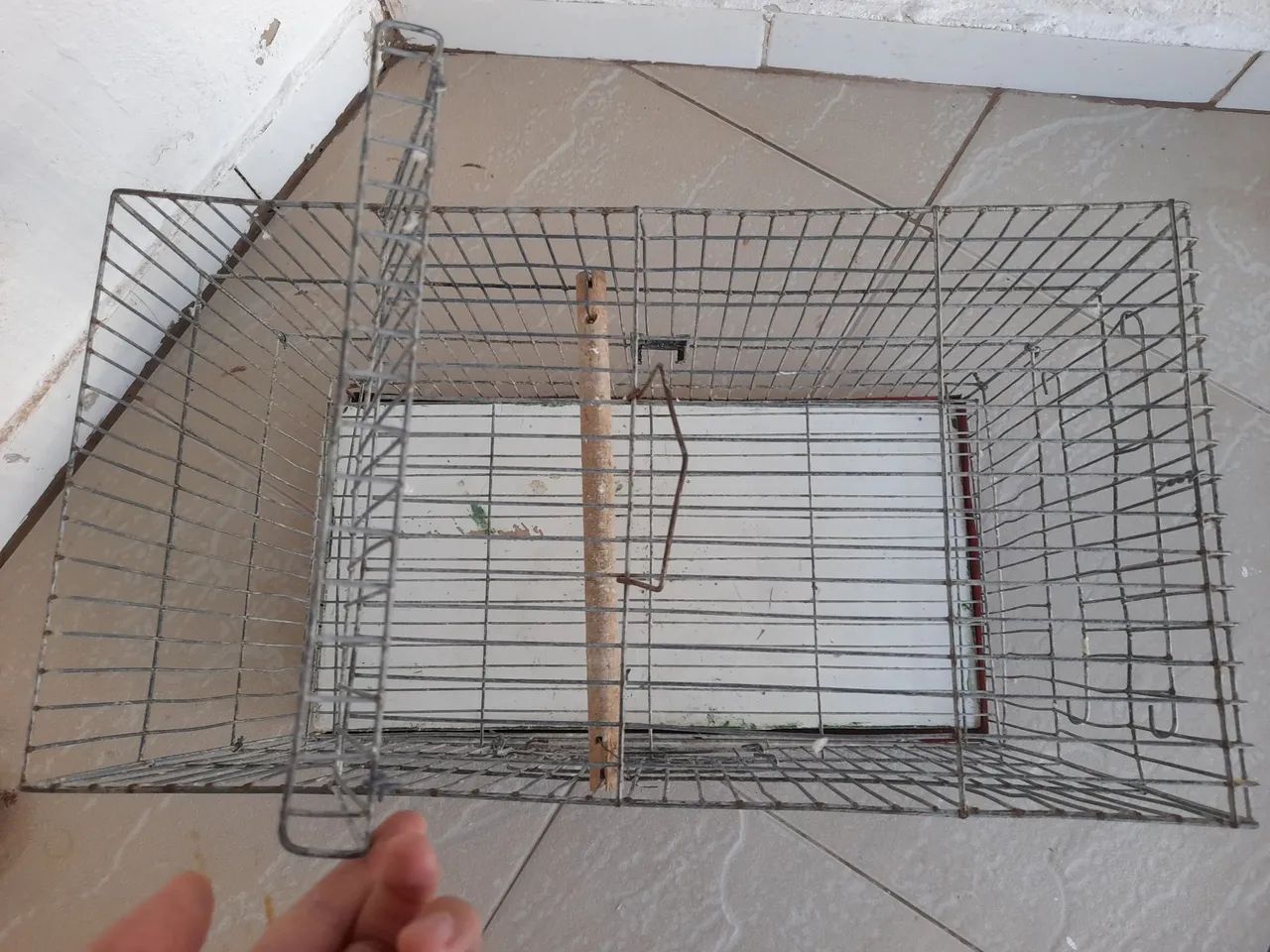 Gaiola para vender rápido R$90 - Foto 2