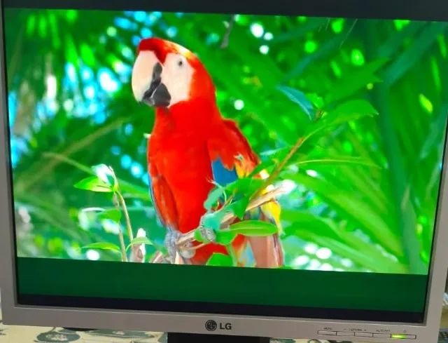 MONITOR LCD 17 POLEGADAS LG - Foto 4
