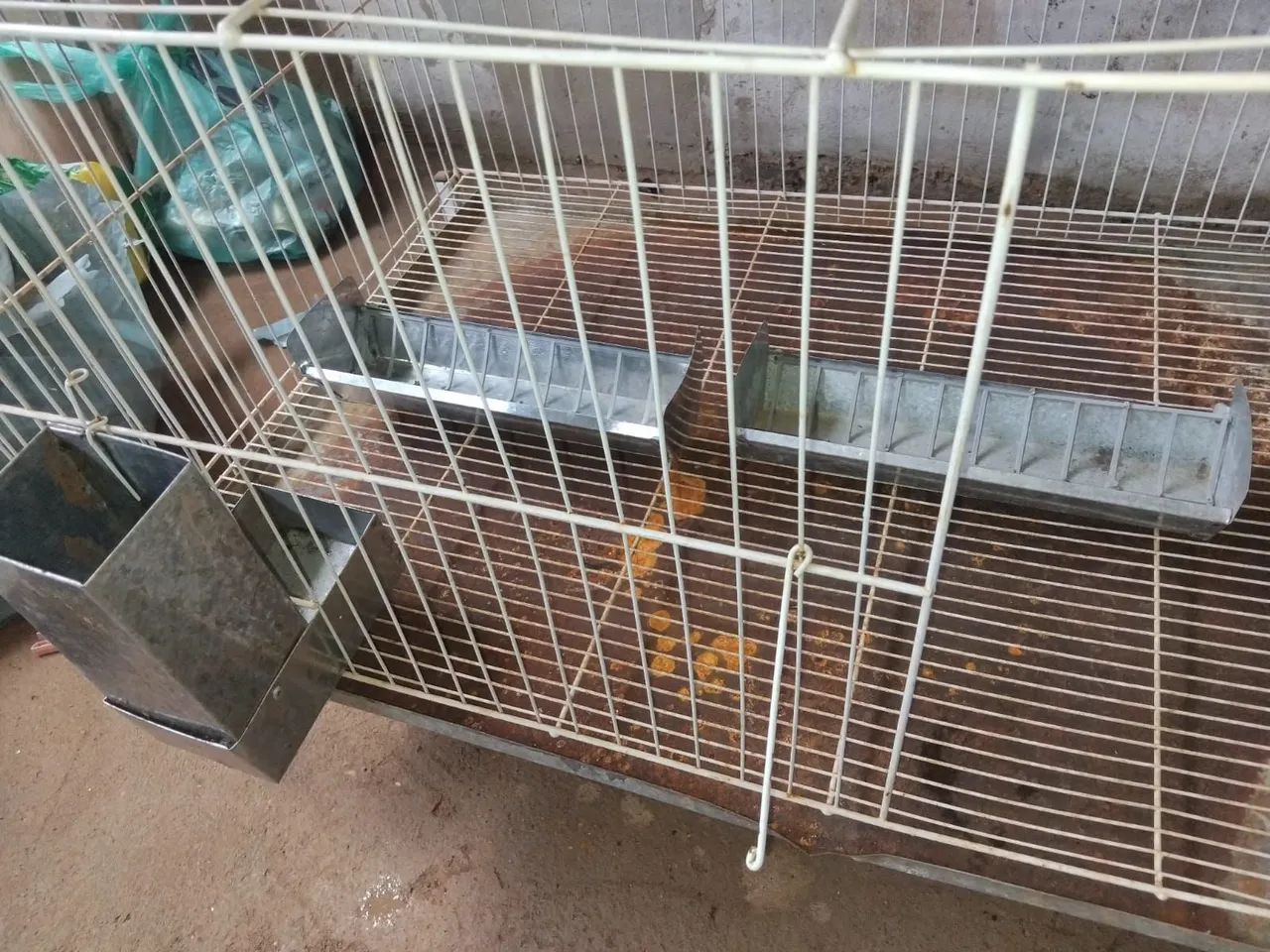 Gaiola - Foto 4