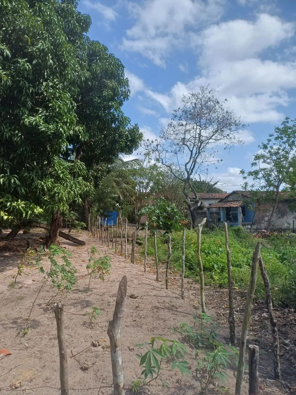 Terreno Nova Alvorada (S. G. Amarante/RN) - Foto 4