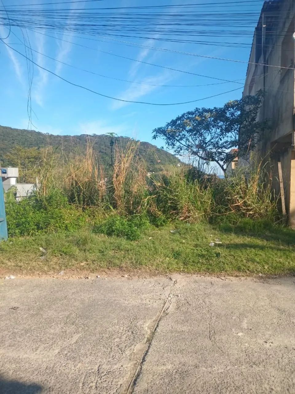 Vendo 3 terrenos em MURIQUI 