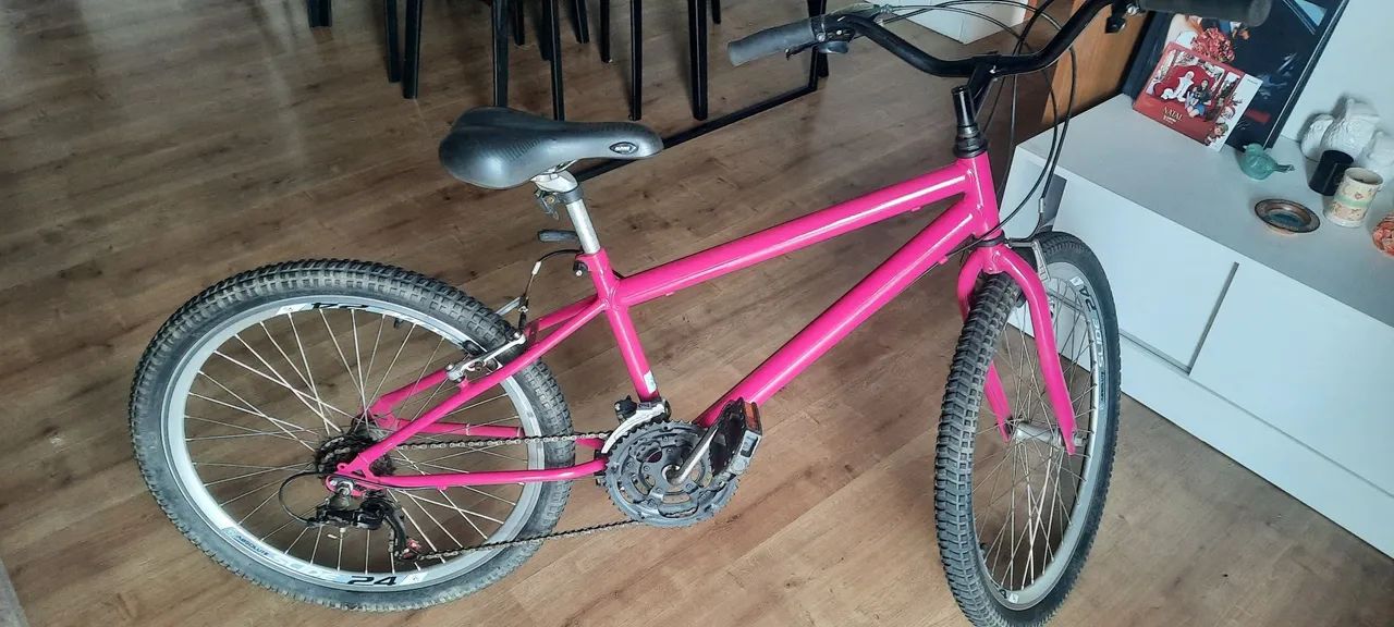 Bicicleta aro 24