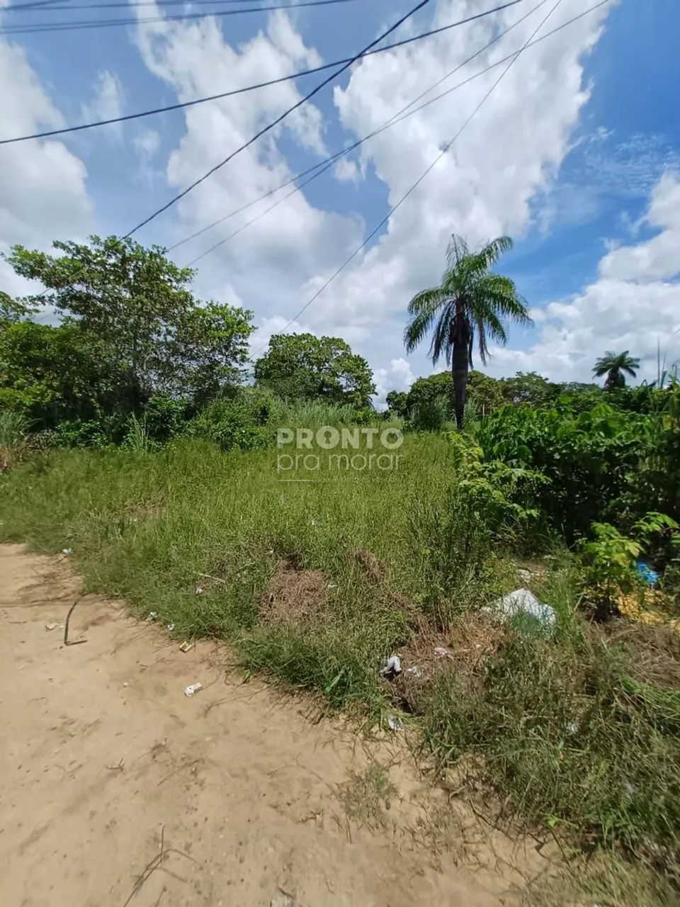 Lote/Terreno/Condomínio em Itapissuma