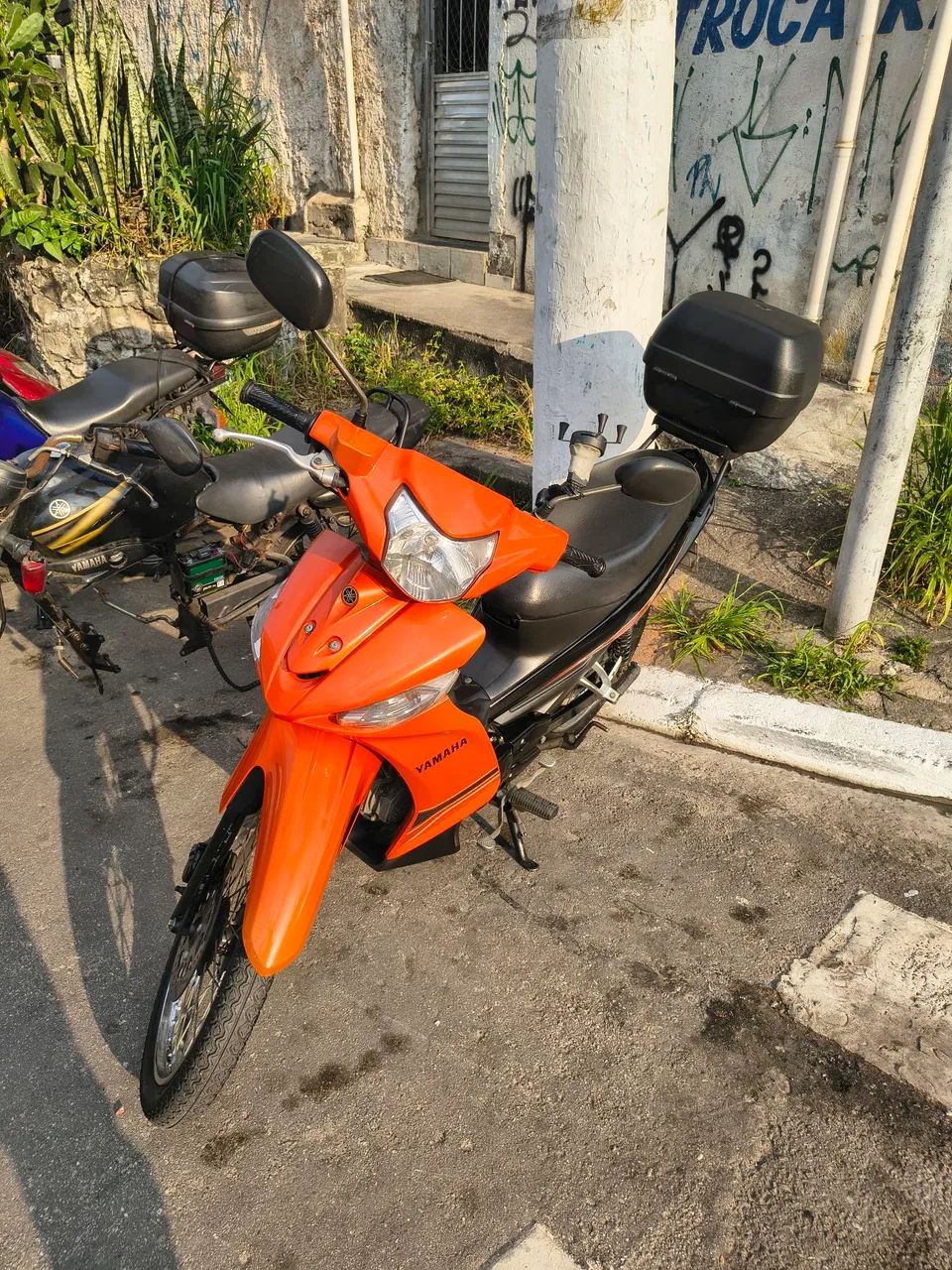 Crypton - Foto 3
