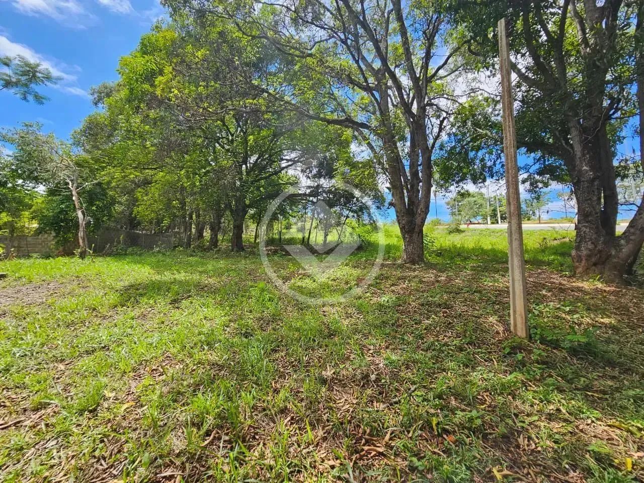 Lote Comercial Residencial Riviera codigo: 272046 - Foto 4