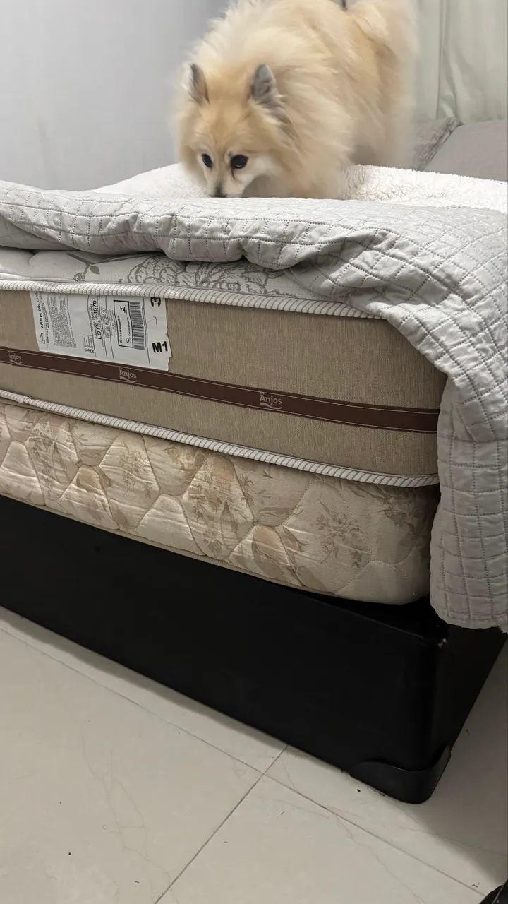 Cama viúva com base  - Foto 5