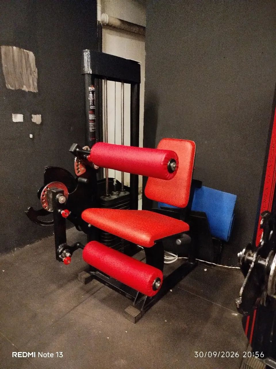 Cadeira Flexora da Marca flex